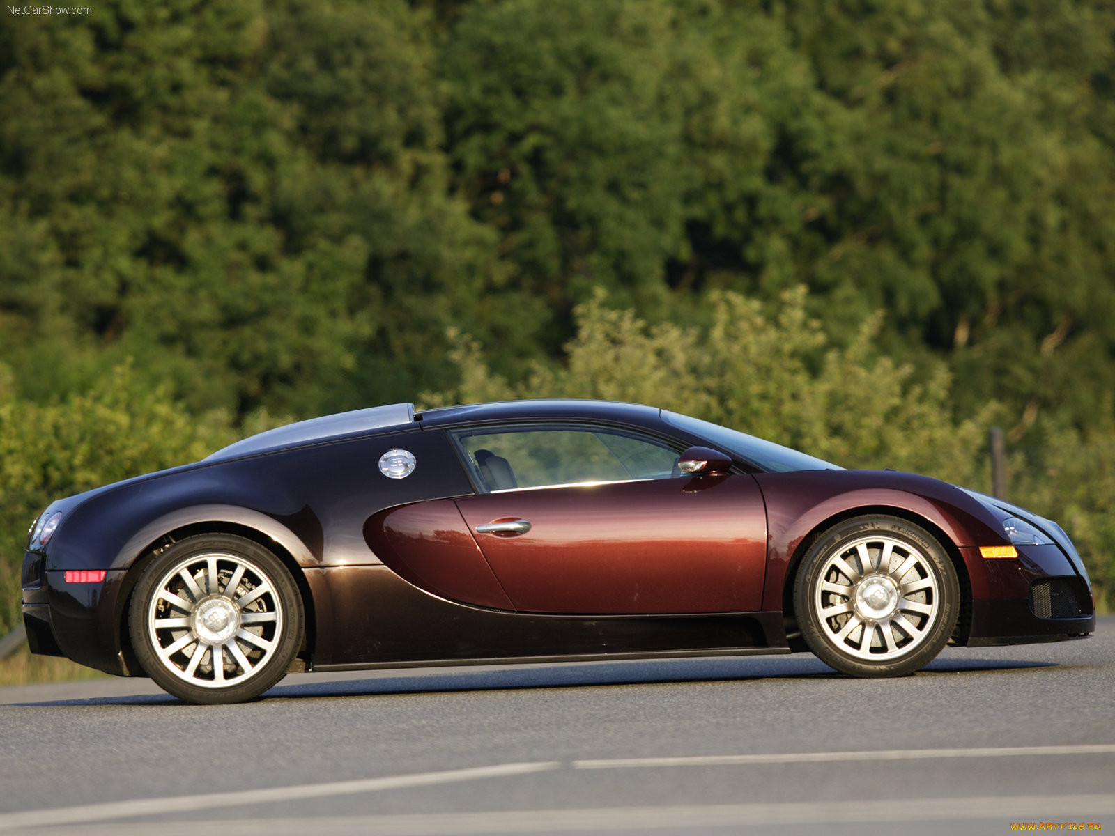 bugatti, veyron, 2005, 